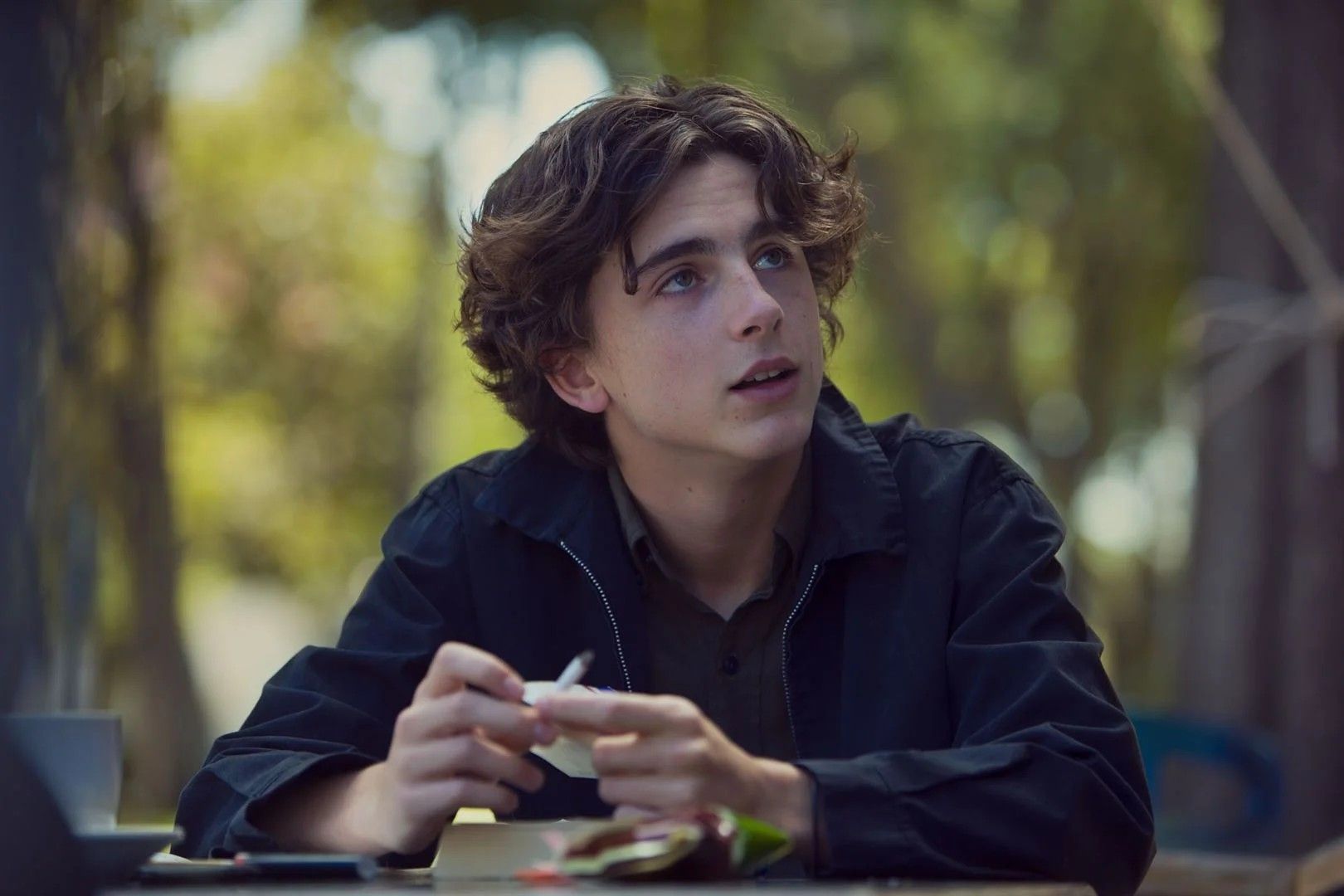 Timothée Chalamet em Lady Bird