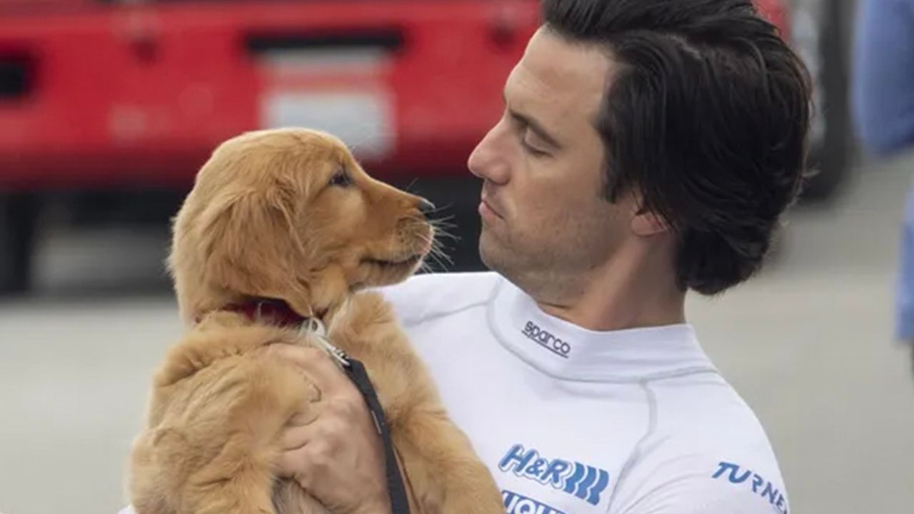 Sessão da Tarde hoje (06/03): Meu Amigo, Enzo não é um filme com cachorros comum – ele homenageia um dos maiores ídolos brasileiros!