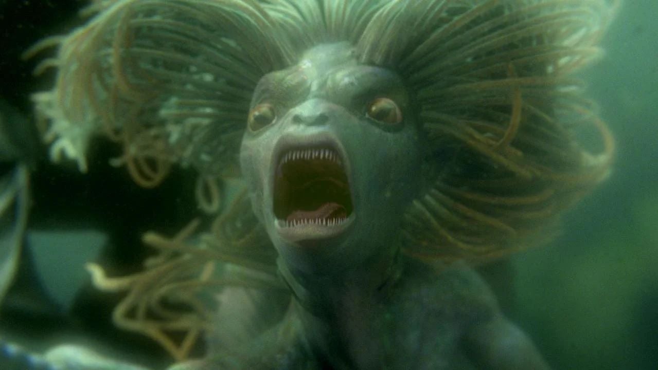 Harry Potter e o Cálice de Fogo