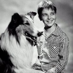 Lassie por trás das câmeras: a protagonista, na verdade, era um macho
