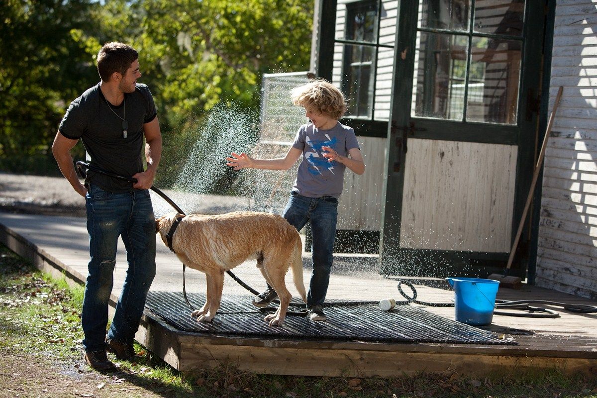 Filme Um Homem de Sorte Online Dublado Ano de 2012 Filmes Online Dublado Filme Um Homem de Sorte Online Dublado Ano de 2012 Filmes Online Dublado