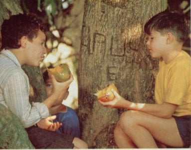 Foto Do Filme Menino Maluquinho O Filme Foto De Adorocinema