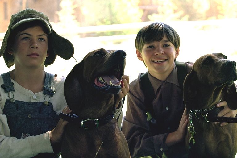 Foto do filme Amigos de Caça - Foto 2 de 5 - AdoroCinema