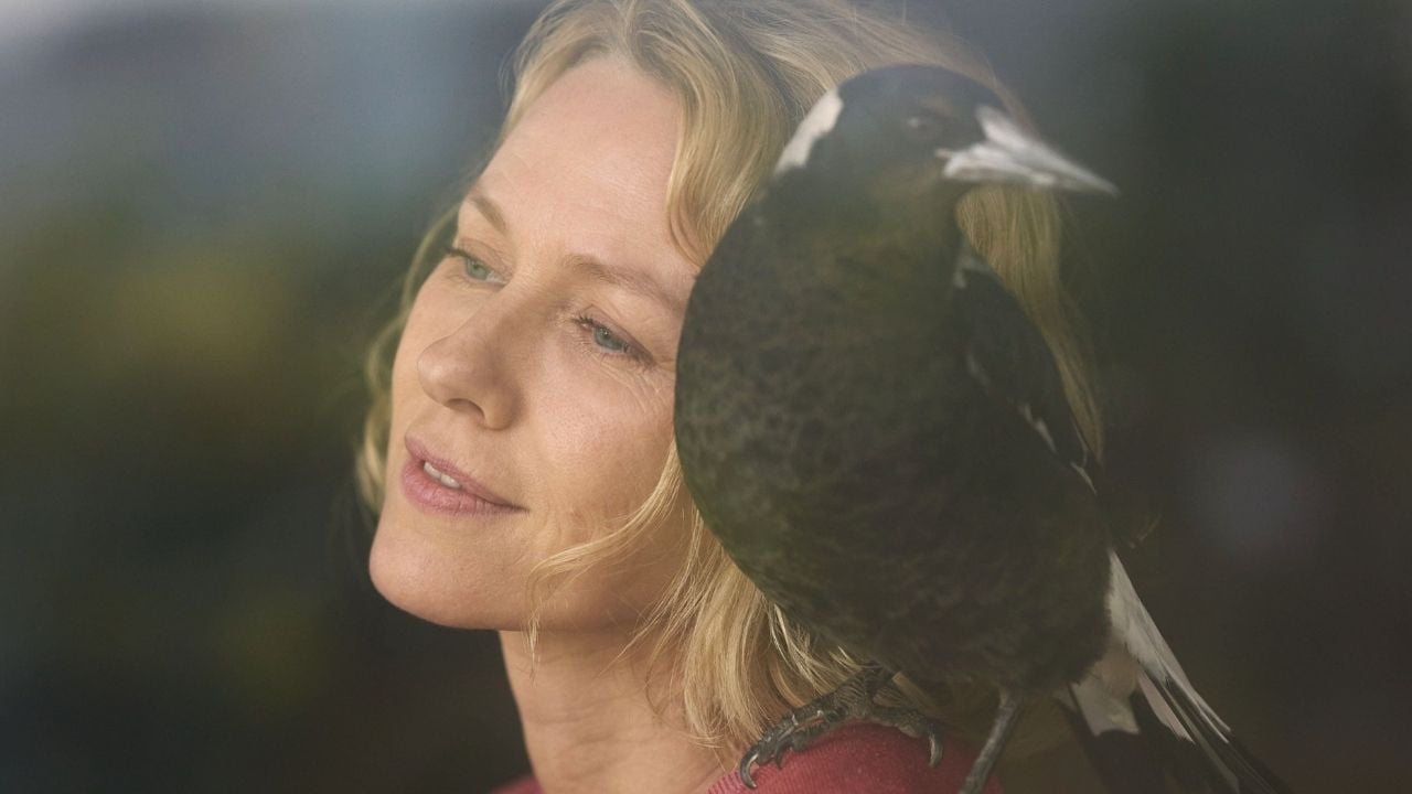 Um Milagre Inesperado: Conheça o filme emocionante com Naomi Watts que ...