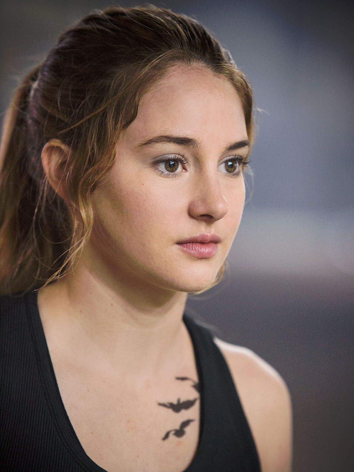 Foto de Shailene Woodley - Divergente : Fotos Shailene Woodley - Foto 189  de 204 - AdoroCinema