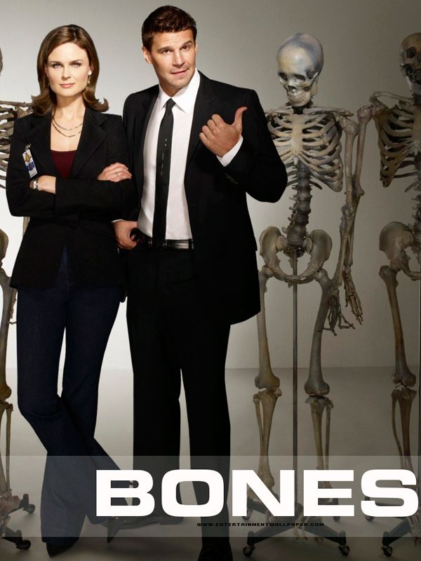 Bones Elenco Da 8 Temporada AdoroCinema