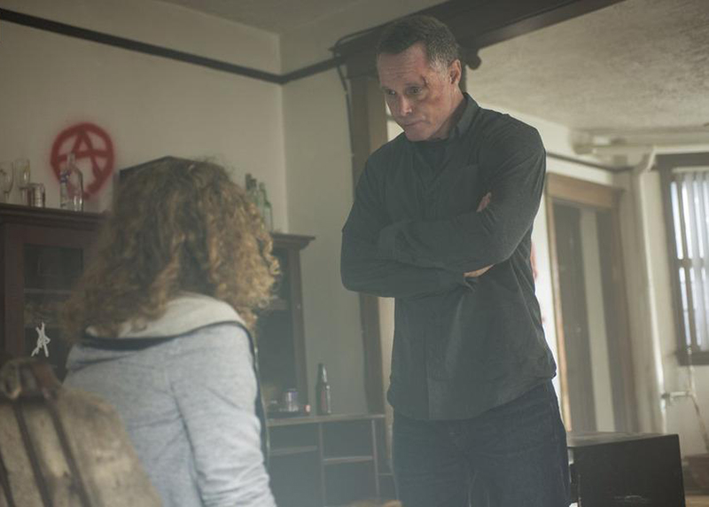 Chicago P D Distrito Foto Jason Beghe No Adorocinema