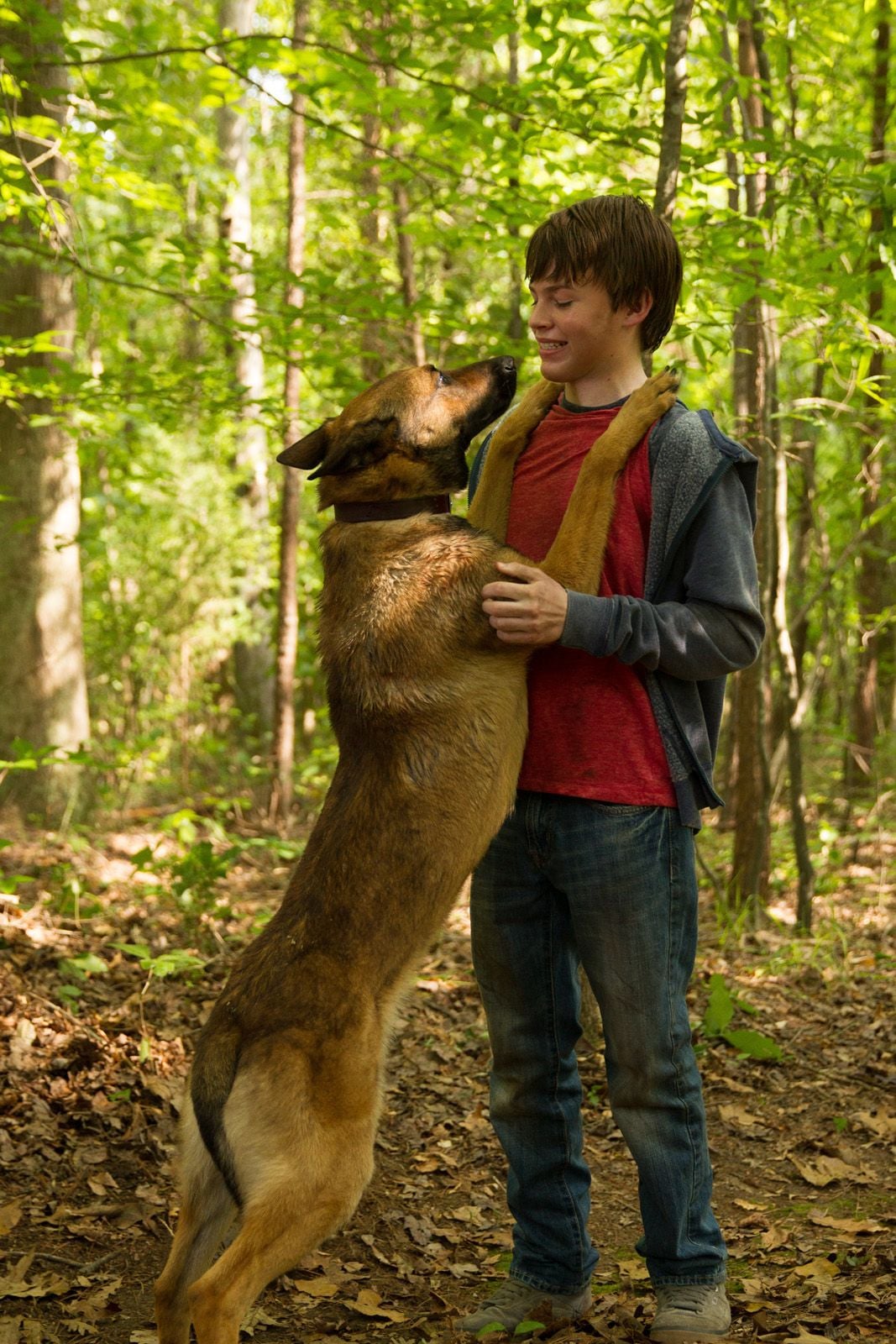 Filme Max O Cao Heroi Completo Dublado