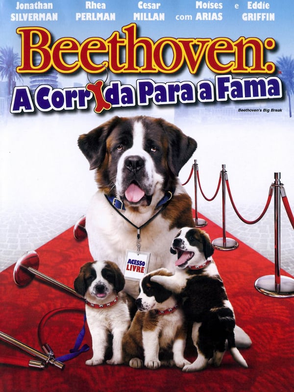 São Bernardo é a raça de cachorro do filme Bethoven