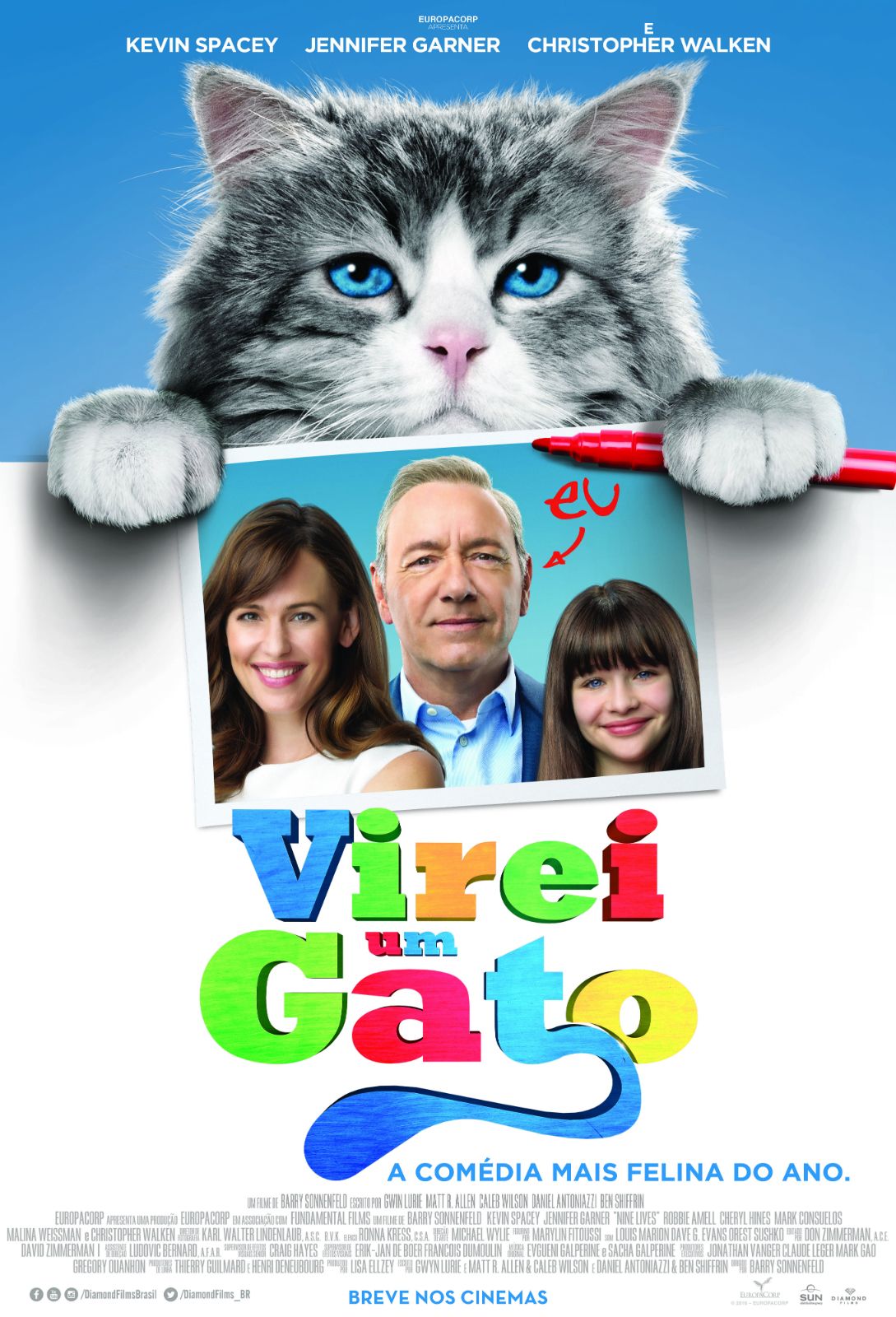 Um pôster de um filme chamado gato