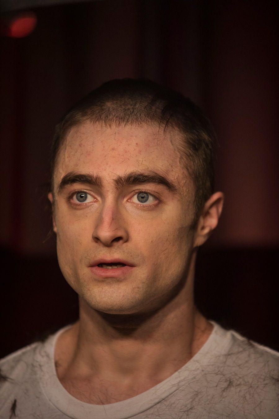 Foto De Daniel Radcliffe Imperium Resistência Sem Líder Foto