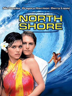 Surfe no Havaí