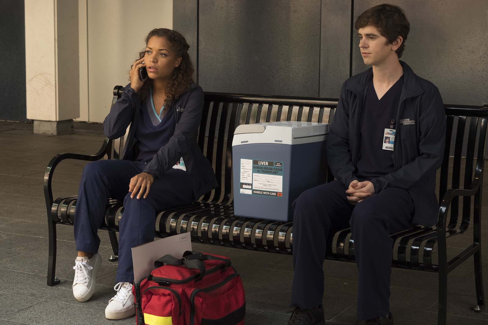 7 ideias de Good doctor  freddie highmore, antonia thomas, assistir filmes  grátis