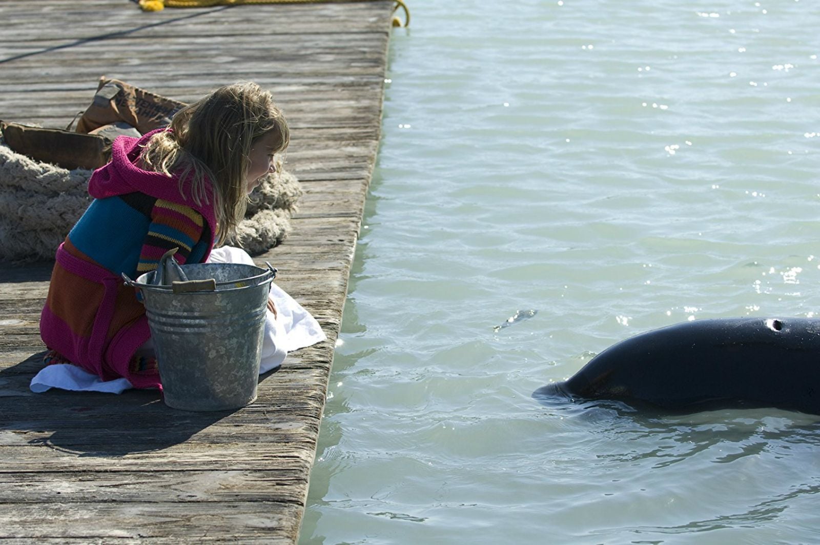 Free Willy - La Grande Fuga Streaming Ita