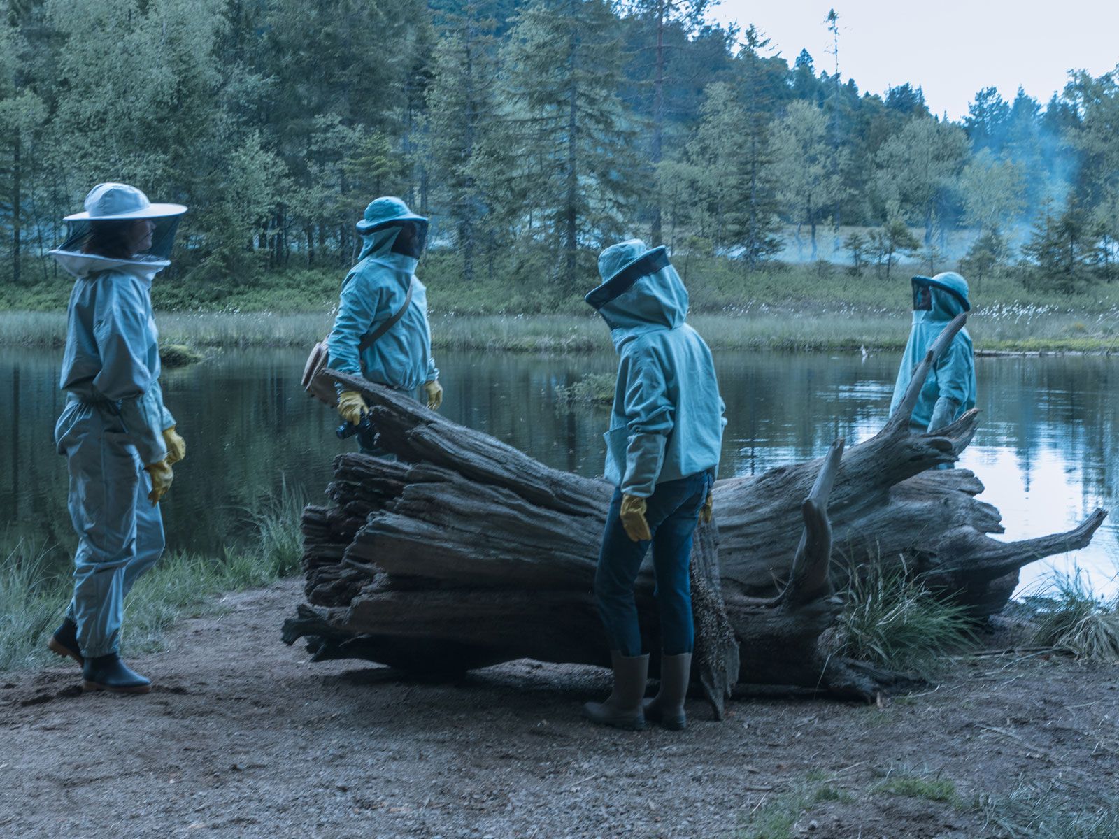 Labirinto Verde Foto 7 no 36 AdoroCinema