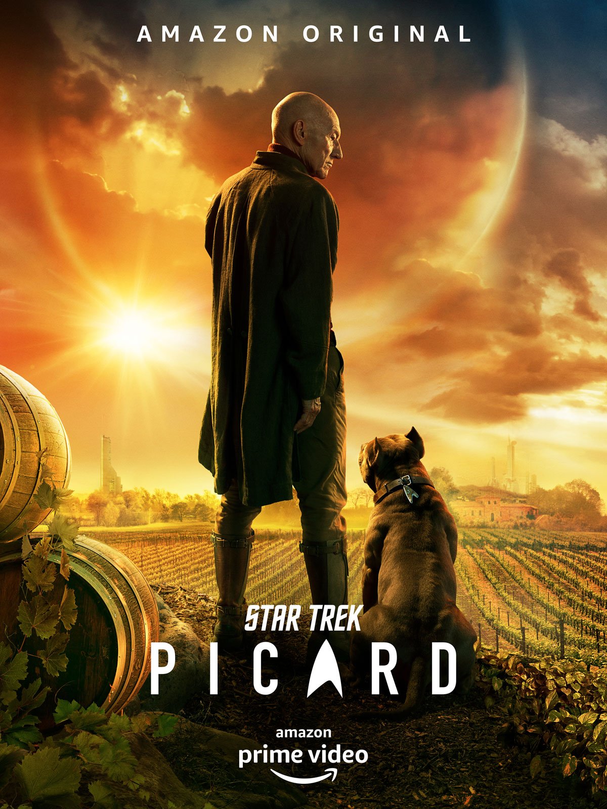 Star Trek: Picard - Série 2020 - AdoroCinema