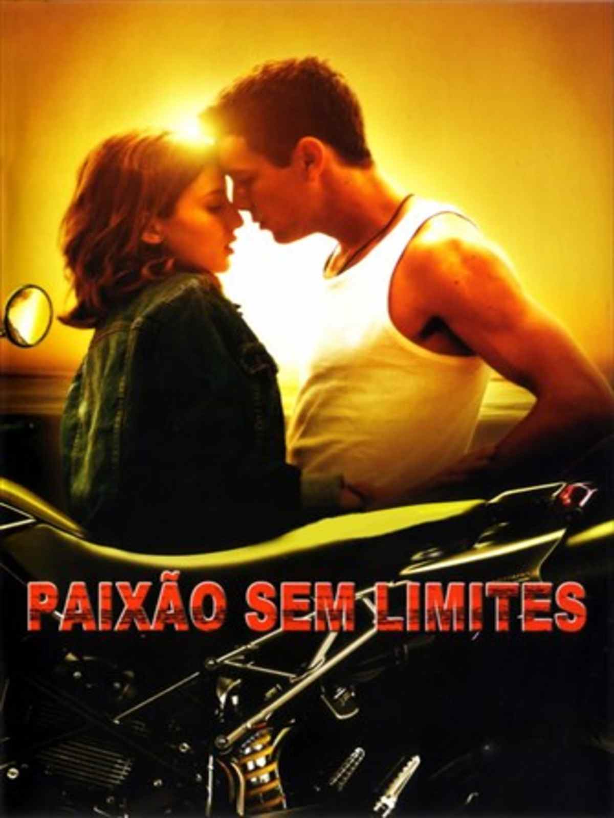 Paixão Sem Limites - Filme 2010 - AdoroCinema