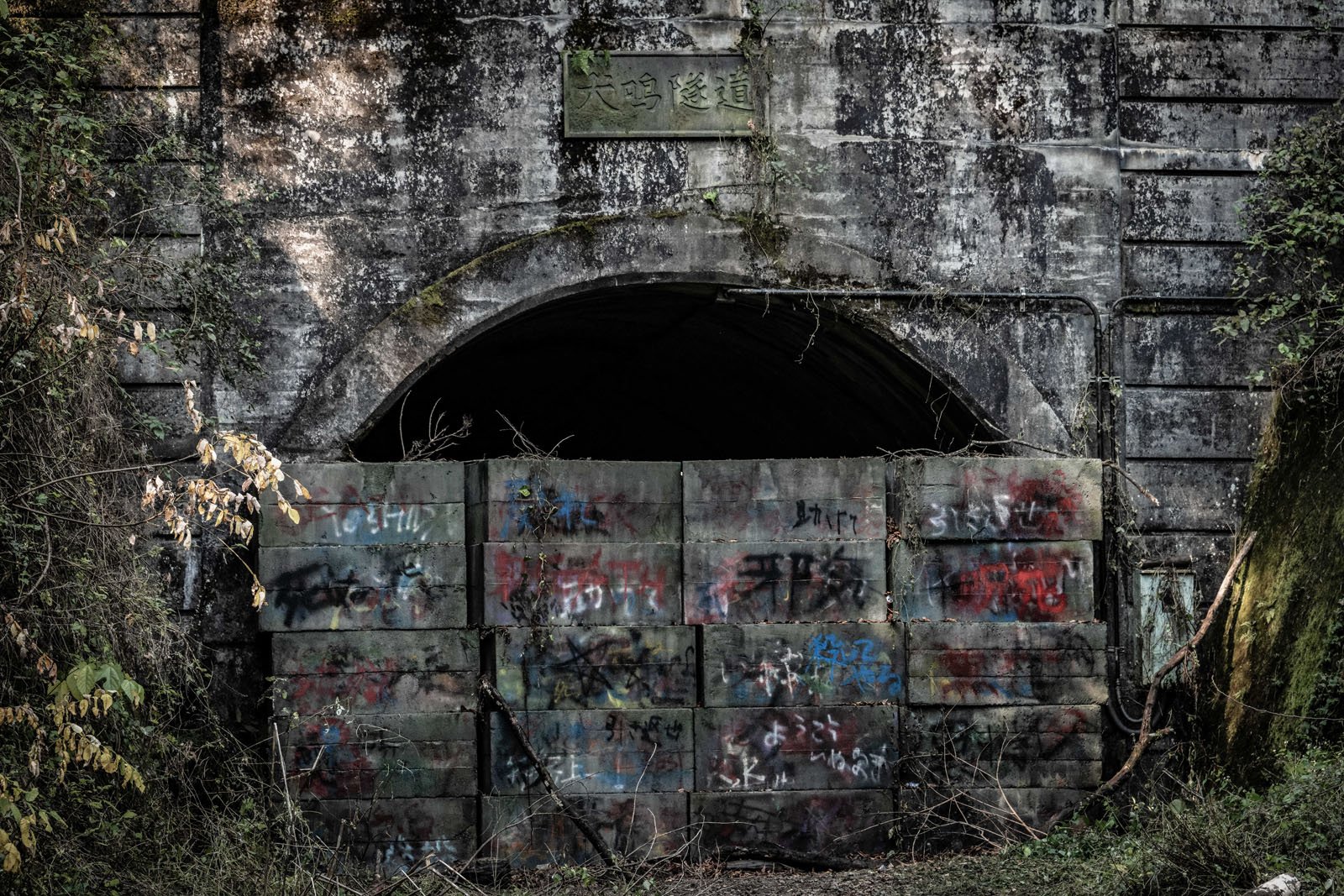 Деревня инунаки. Деревня Инунаки Япония. Inunaki tunnel. Деревня Инунаки (2020). Деревня Инунаки фильм 2019.