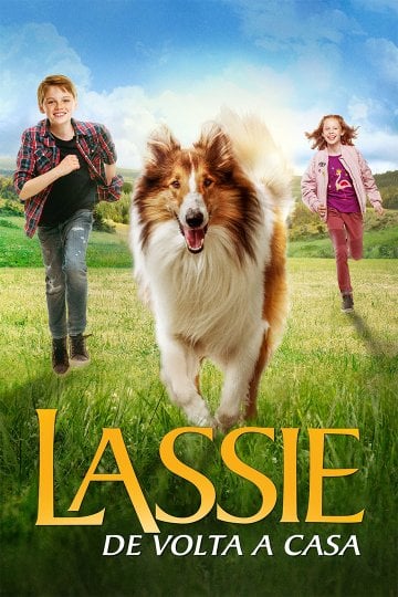 Lassie De Volta Para Casa Filme 2020 Adorocinema