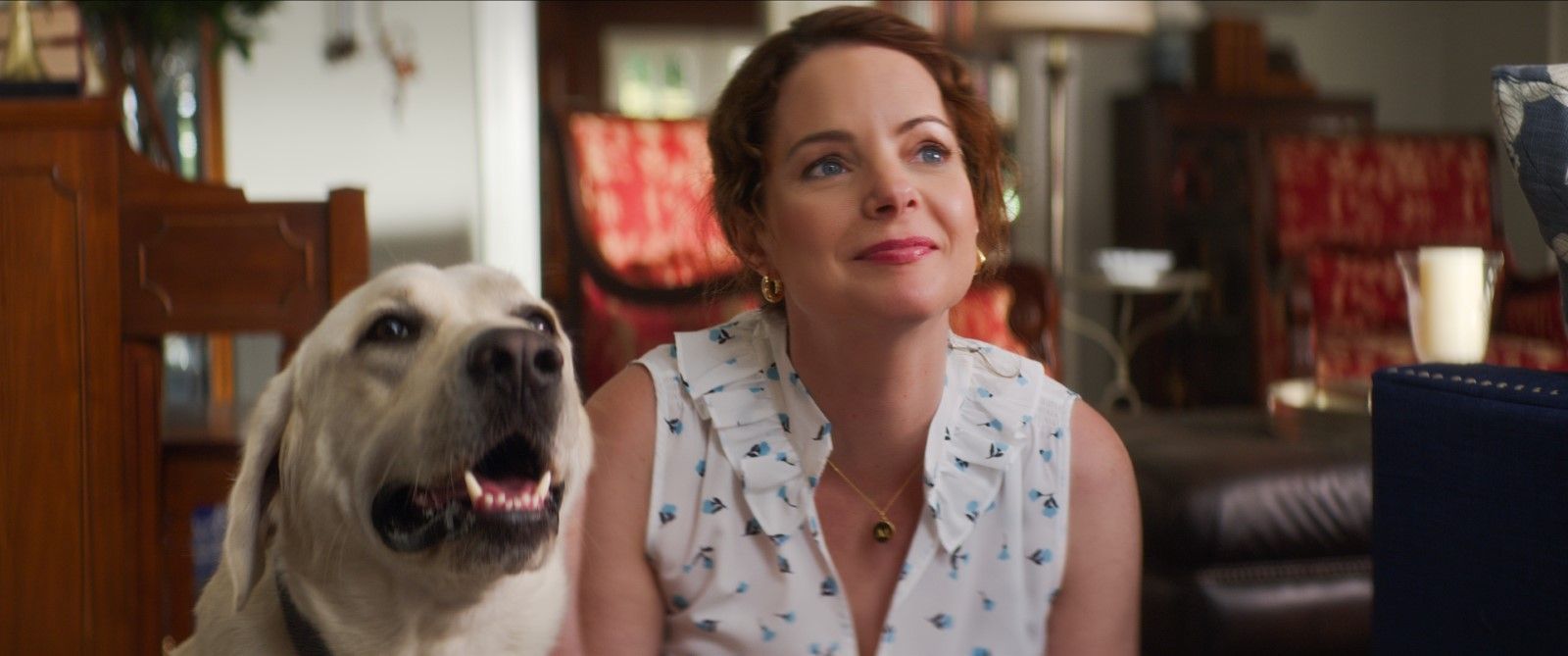 Foto de Kimberly Williams-Paisley - Procura-se Gonker : Fotos Kimberly ...