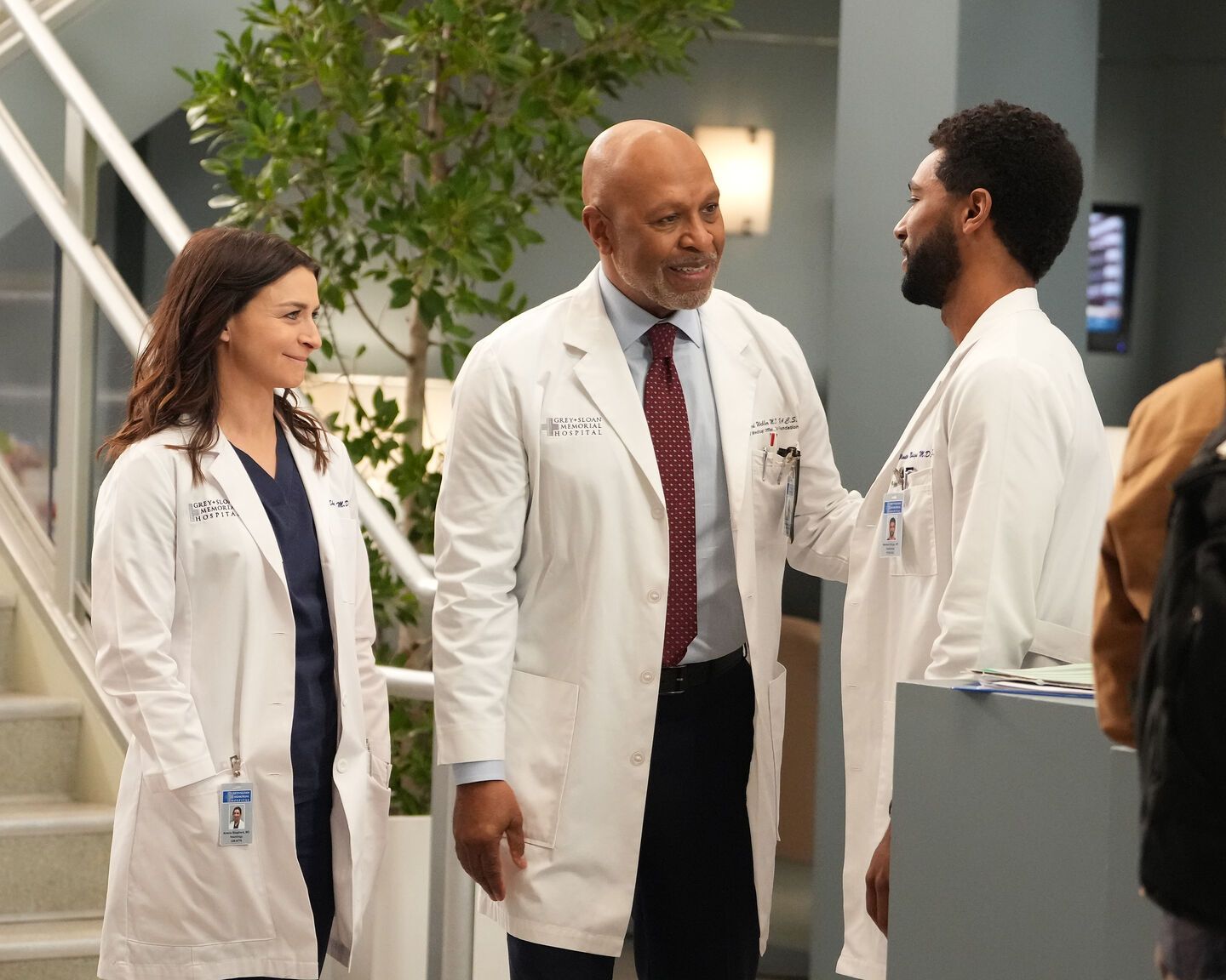 Grey's Anatomy : Grey's Anatomy : Fotos Caterina Scorsone, James - Where Can I Watch Season 18 Of Grey's Anatomy