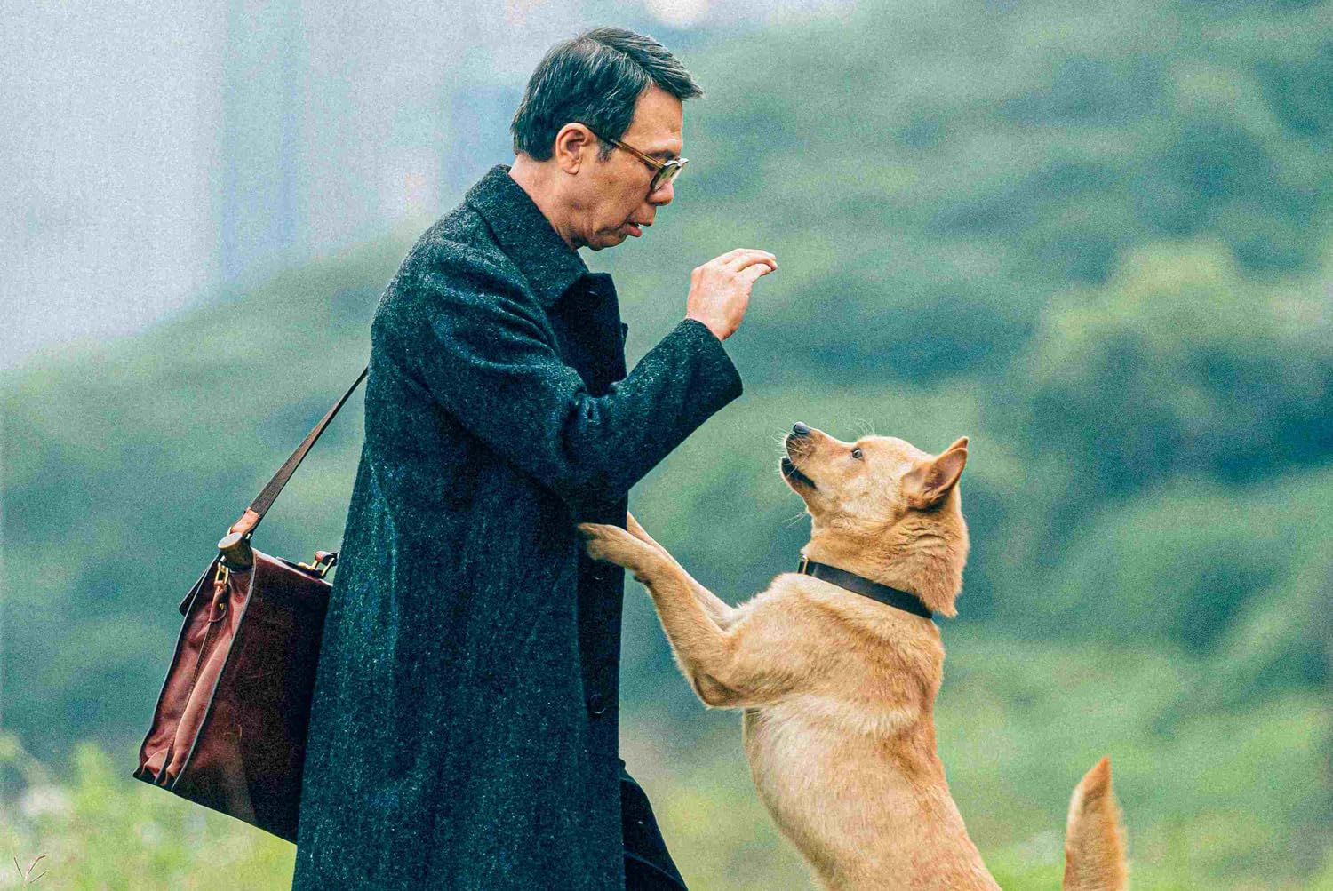 Foto do filme Hachiko - Para Sempre - Foto 3 de 7 - AdoroCinema