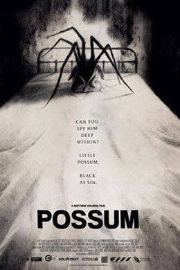 Possum : Poster