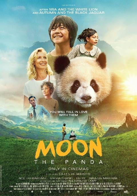 O Menino e o Panda : Poster