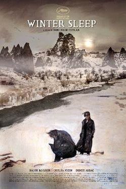 Winter Sleep : Poster