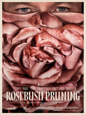 Rosebush Pruning : Poster