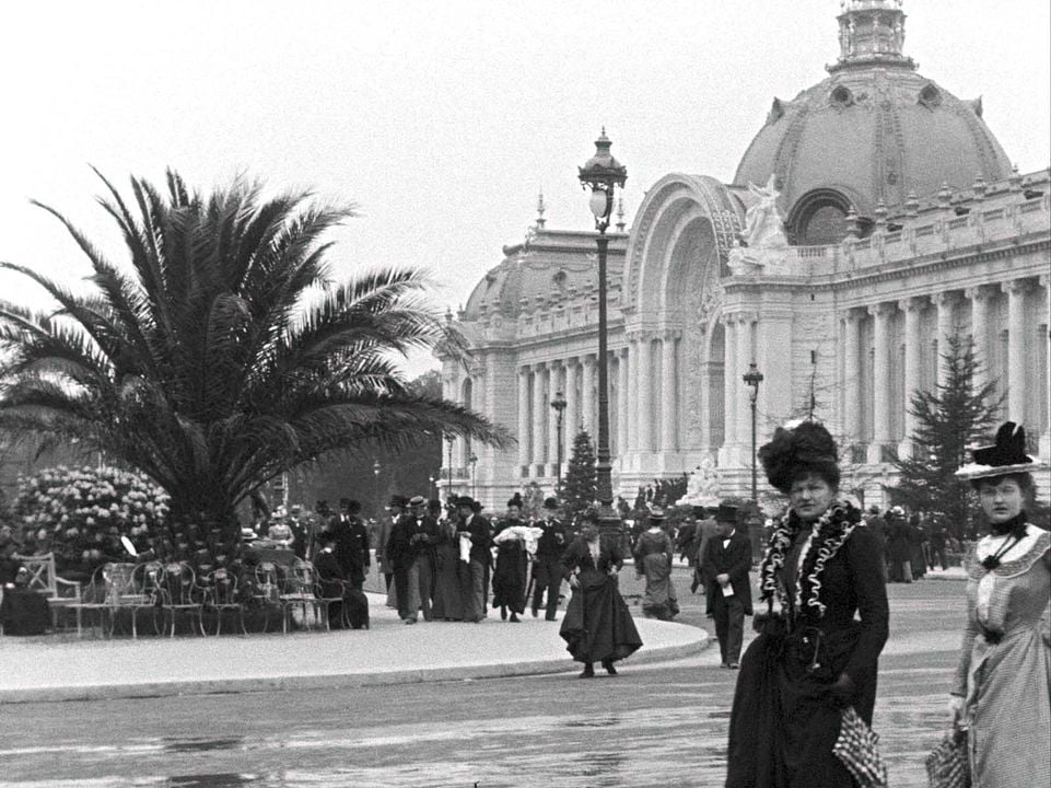 Lumière - A Aventura Continua! : Fotos