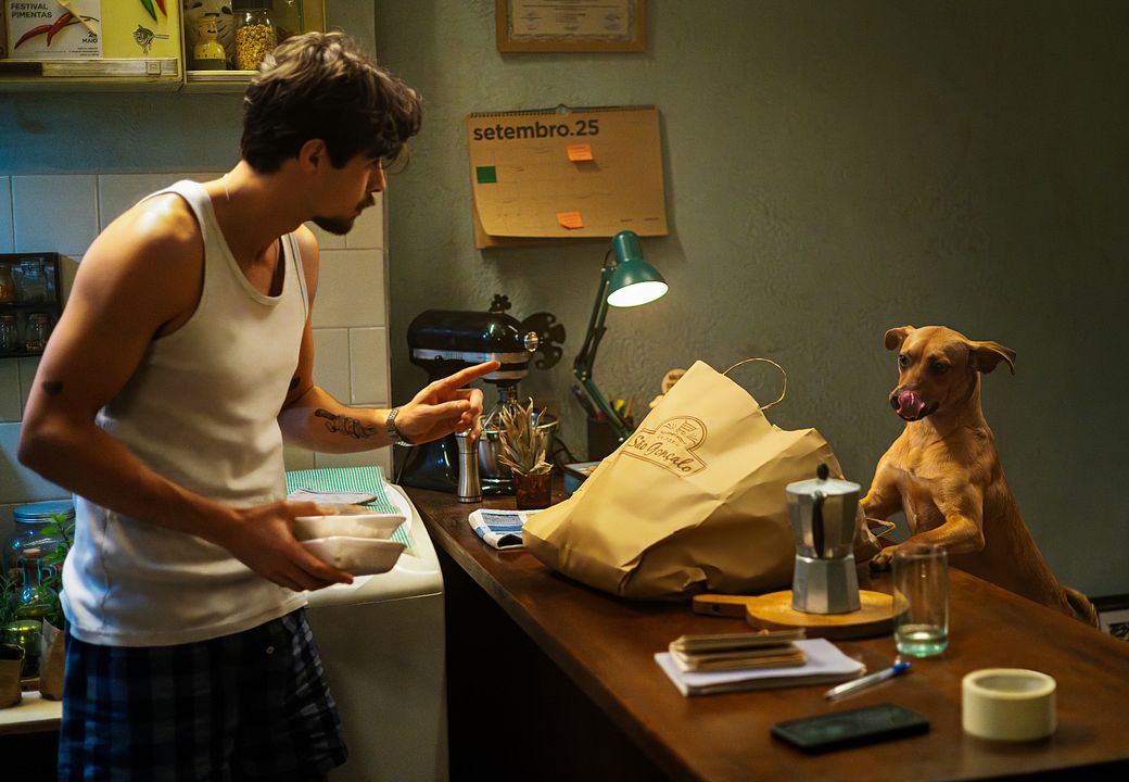 Caramelo : Fotos Rafael Vitti