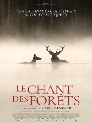 O Canto da Floresta : Poster