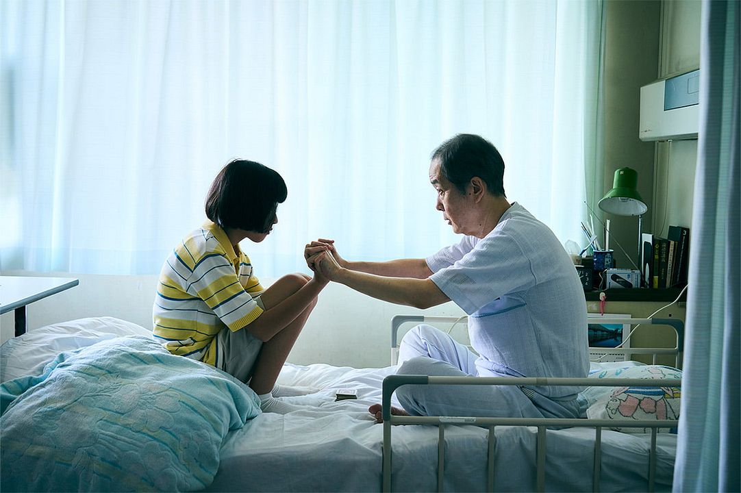 Renoir : Fotos Yui Suzuki