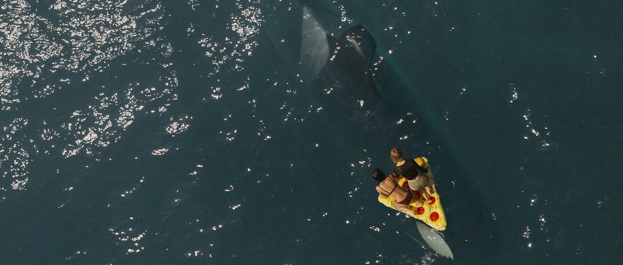 Killer Whale : Fotos