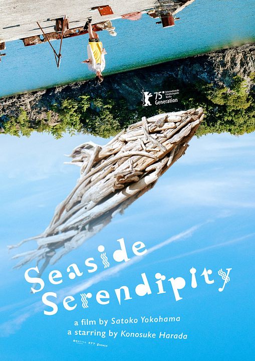 Serendipidade à Beira-mar : Poster