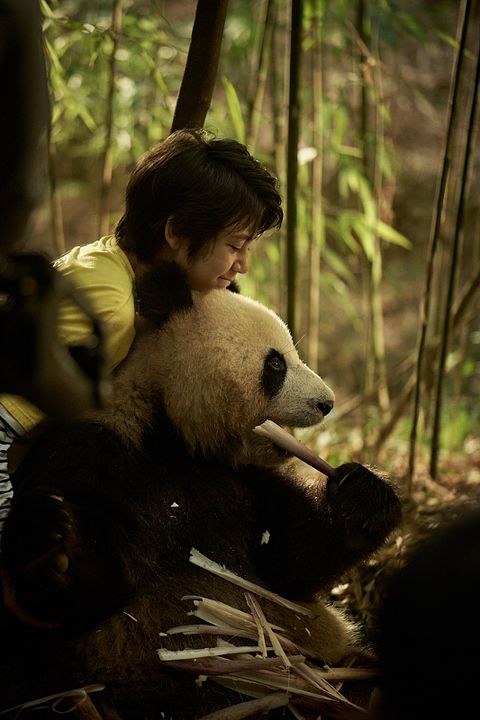 O Menino e o Panda : Fotos Noé Liu Martane