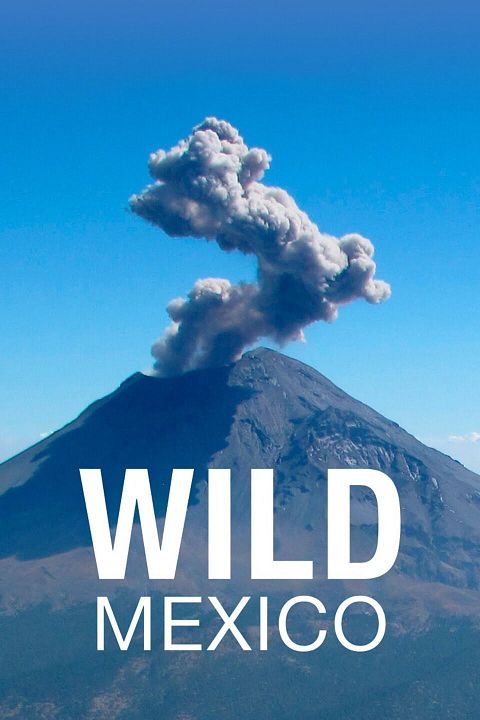 Wild Mexico : Poster