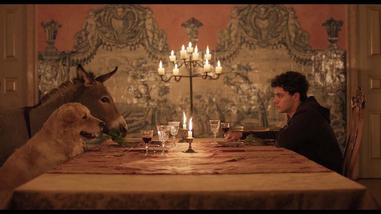 A Árvore do Conhecimento : Fotos