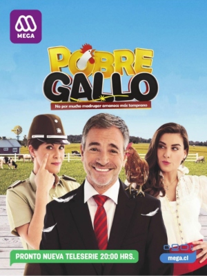 Pobre Gallo : Poster