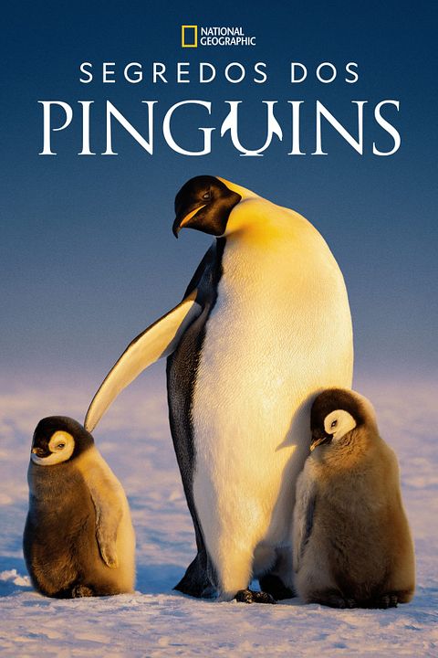 Segredos dos Pinguins : Poster