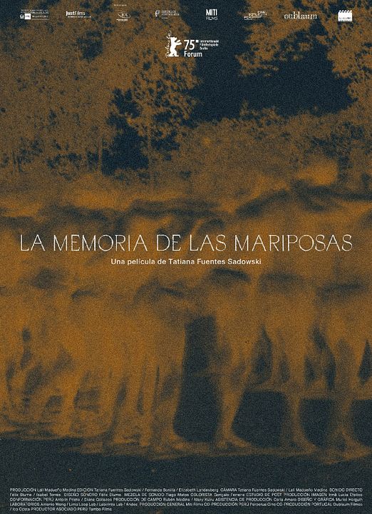 A Memória das Borboletas : Poster
