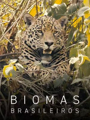 Biomas  : Poster