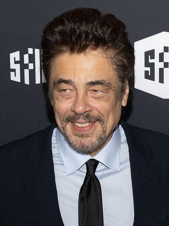 Poster Benicio Del Toro