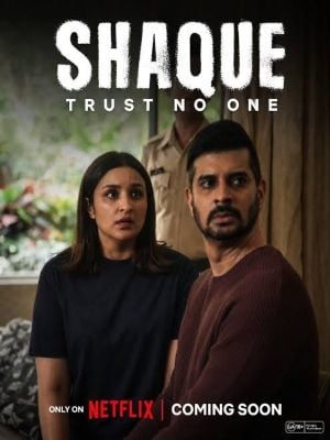 Instinto de Mãe : Poster