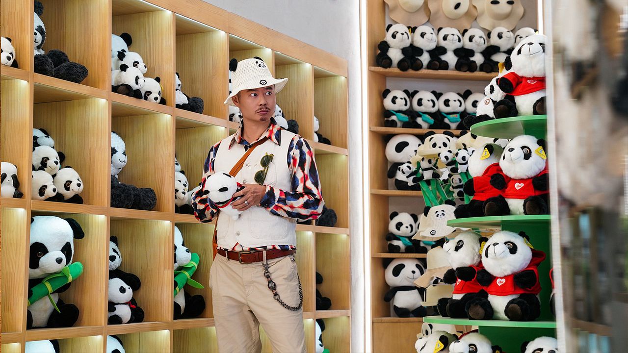 Operação Panda : Fotos