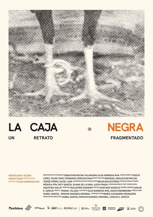 A Caixa-Preta : Poster