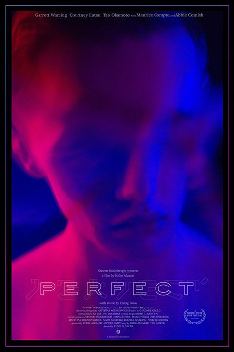 Perfect : Poster