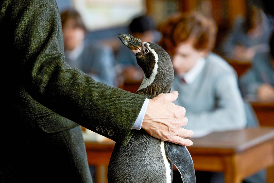 Lições de Liberdade : Fotos Steve Coogan