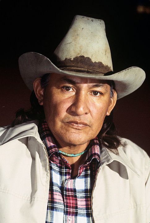 Poster Will Sampson